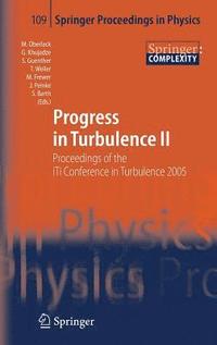 bokomslag Progress in Turbulence II