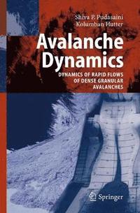 bokomslag Avalanche Dynamics