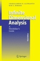 bokomslag Infinite Dimensional Analysis