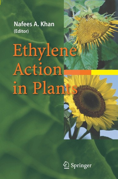 Nafees A. Khan - Ethylene Action in Plants, Inbunden