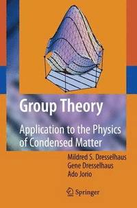 bokomslag Group Theory