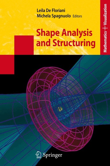 Leila de Floriani, Michela Spagnuolo - Shape Analysis and Structuring, Inbunden