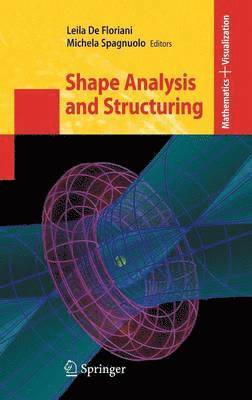 bokomslag Shape Analysis and Structuring