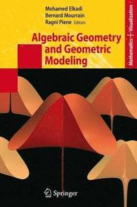 bokomslag Algebraic Geometry and Geometric Modeling