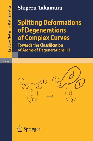 bokomslag Splitting Deformations of Degenerations of Complex Curves