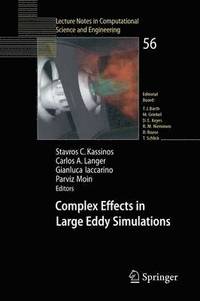 bokomslag Complex Effects in Large Eddy Simulations