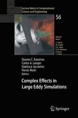 Complex Effects in Large Eddy Simulations 1