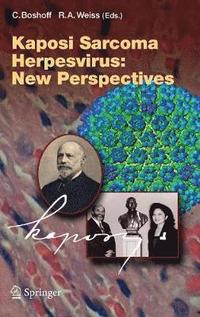 bokomslag Kaposi Sarcoma Herpesvirus: New Perspectives
