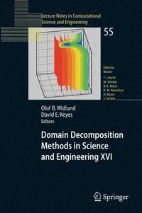 bokomslag Domain Decomposition Methods in Science and Engineering XVI