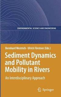 bokomslag Sediment Dynamics and Pollutant Mobility in Rivers