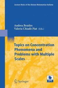 bokomslag Topics on Concentration Phenomena and Problems with Multiple Scales