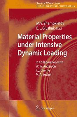 Material Properties under Intensive Dynamic Loading 1