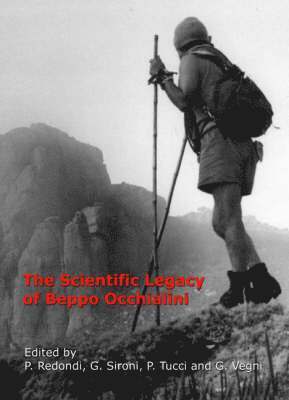 bokomslag Scientific Legacy of Beppo Occhialini