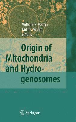 Origin of Mitochondria and Hydrogenosomes 1