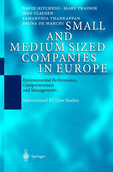 bokomslag Small and Medium Sized Companies in Europe