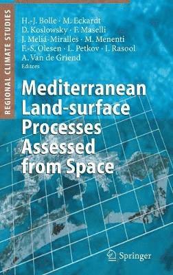 Mediterranean Land-surface Processes Assessed from Space 1