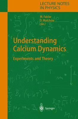 Understanding Calcium Dynamics 1
