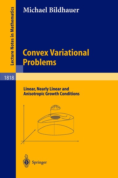 Michael Bildhauer - Convex Variational Problems, Häftad