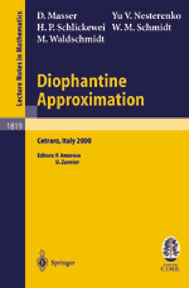 David Masser, Yuri V. Nesterenko, Hans Peter Schlickewei, Wolfgang M. Schmidt, Michel Waldschmidt, Francesco Amoroso, Umberto Zannier - Diophantine Approximation, Häftad