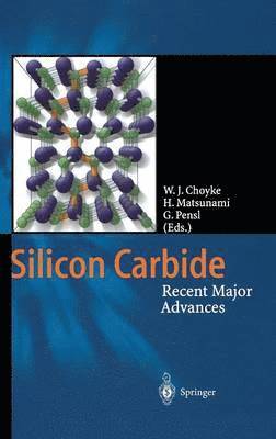 bokomslag Silicon Carbide