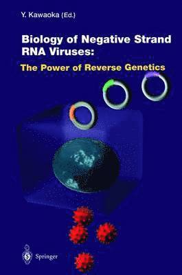 bokomslag Biology of Negative Strand RNA Viruses: The Power of Reverse Genetics