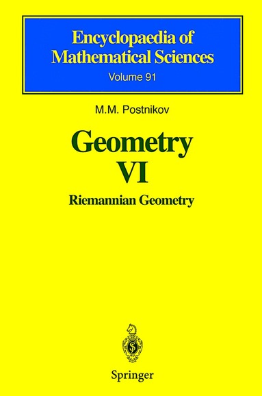 bokomslag Geometry VI