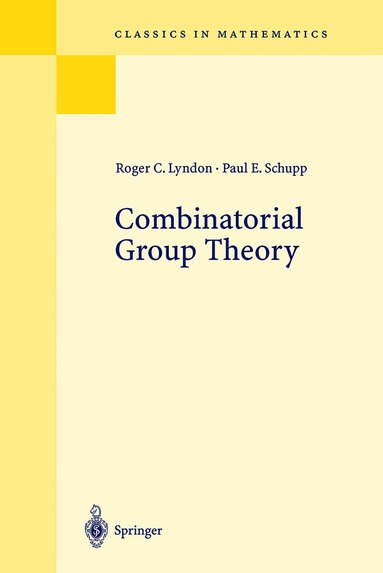 Roger C. Lyndon, Paul E. Schupp - Combinatorial Group Theory, Häftad