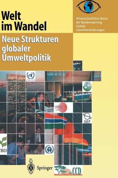 bokomslag Welt im Wandel: Neue Strukturen globaler Umweltpolitik