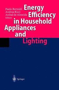 bokomslag Energy Efficiency in Househould Appliances and Lighting