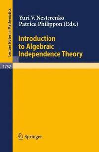 bokomslag Introduction to Algebraic Independence Theory