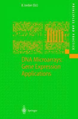 bokomslag DNA Microarrays