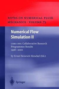 bokomslag Numerical Flow Simulation II