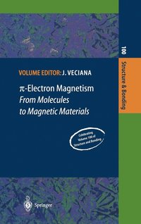 bokomslag ?-Electron Magnetism
