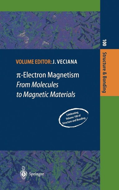 bokomslag ?-Electron Magnetism