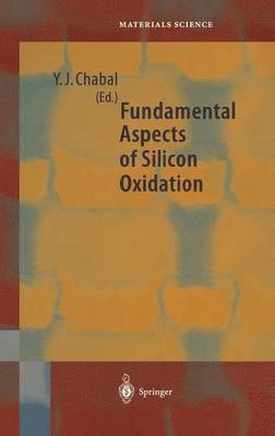 Fundamental Aspects of Silicon Oxidation 1