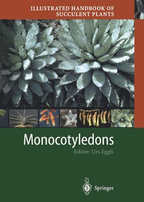 bokomslag Illustrated Handbook of Succulent Plants: Monocotyledons