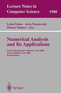 bokomslag Numerical Analysis and Its Applications