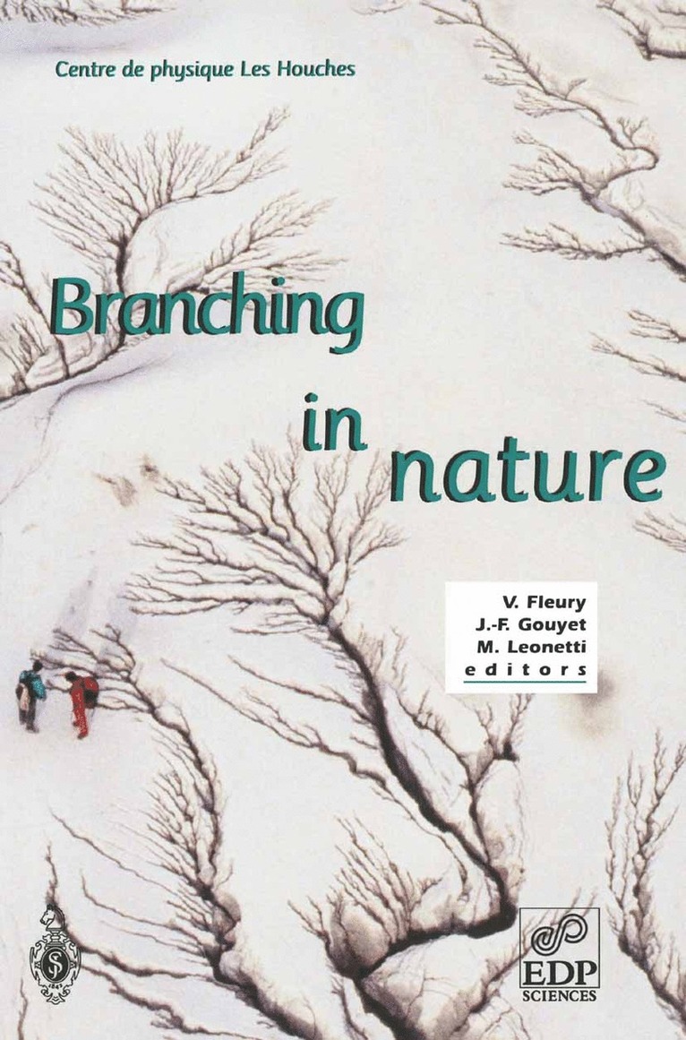 V. Fleury, J. F. Gouyet, V. Fleury, J.-F. Gouyet, Marc Leonetti, J. -F Gouyet, J. -F. Gouyet - Branching in Nature, Häftad