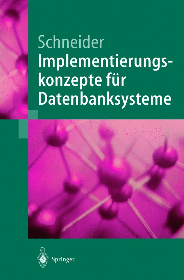 Markus Schneider - Implementierungskonzepte für Datenbanksysteme, Häftad