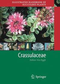 bokomslag Illustrated Handbook of Succulent Plants: Crassulaceae