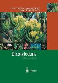 bokomslag Illustrated Handbook of Succulent Plants: Dicotyledons