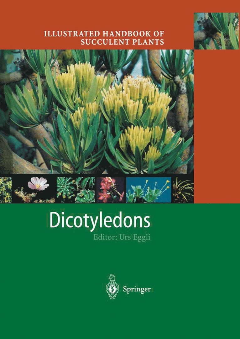 Urs Eggli - Illustrated Handbook of Succulent Plants: Dicotyledons, Inbunden