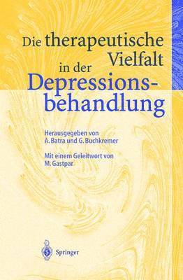 bokomslag Die therapeutische Vielfalt in der Depressionsbehandlung