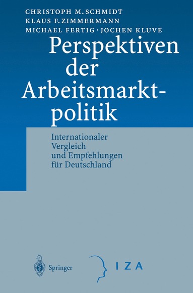 bokomslag Perspektiven der Arbeitsmarktpolitik