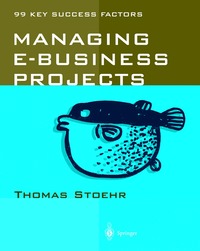 bokomslag Managing e-business Projects