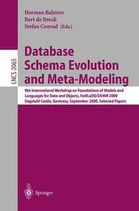 bokomslag Database Schema Evolution and Meta-Modeling