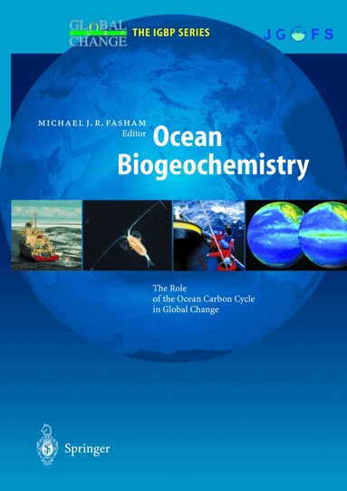Michael J.R. Fasham - Ocean Biogeochemistry, Inbunden