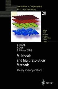 bokomslag Multiscale and Multiresolution Methods