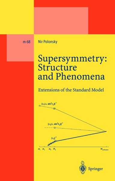 Nir Polonsky - Supersymmetry: Structure and Phenomena, Inbunden
