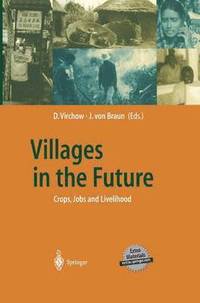bokomslag Villages in the Future